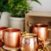 Copper Mugs Fall 2018  10 100x100